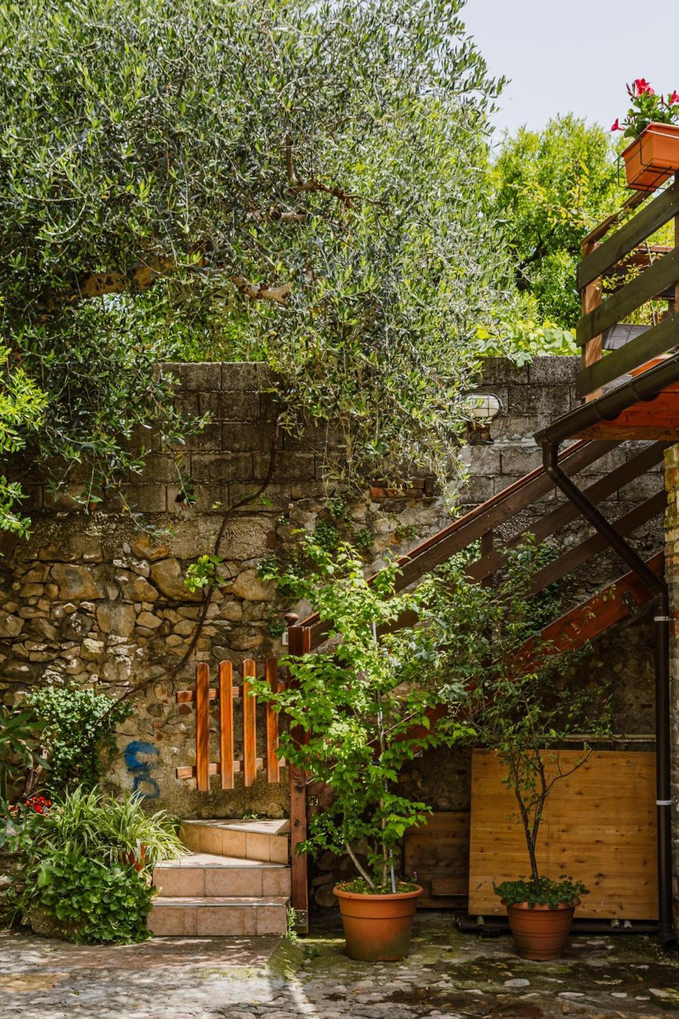 Cozy Castello Apartment Manerba del Garda Bagian luar foto